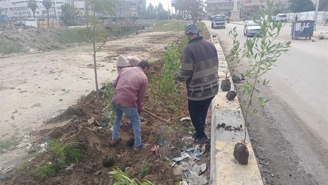 مبادرة  "100 مليون شجرة" زراعة 3000 شجرة بمركز حوش عيسى