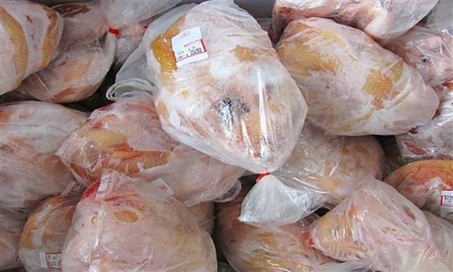 الحكومة: لا صحة لاستيراد شحنات دواجن مجمدة فاسدة