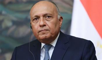 شكري ووفد البرلمان الأوروبي يؤكدان على أهمية تعزيز آليات التعاون البرلماني بين مصر والاتحاد الأوروبي