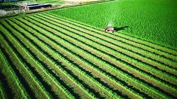   أستاذ اقتصاد زراعي: استصلاح أراضي سيناء سيضيف 400 ألف فدان إلى الرقعة الزراعية 