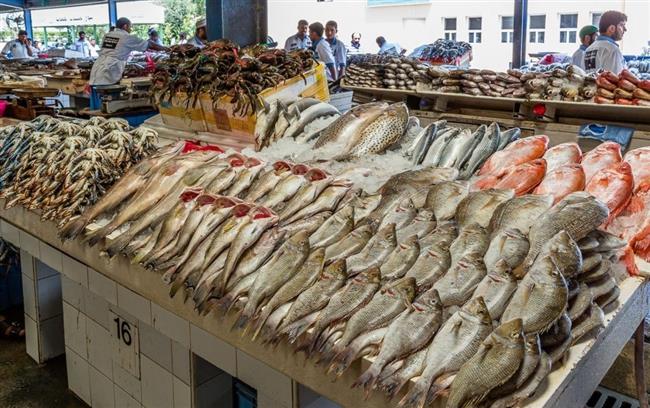 البلطي بـ 48 جنيها.. أسعار الأسماك في الأسواق