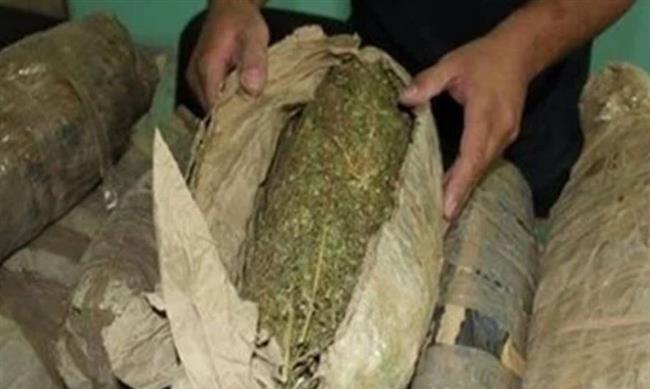 حبس عاطل يروج مخدر البانجو فى أطفيح