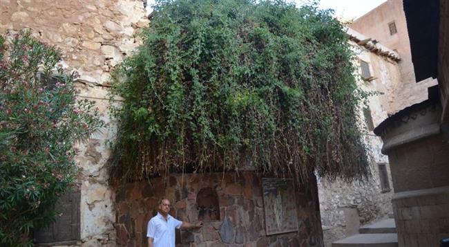 خبير آثار: الآثاريون بسيناء أعادوا كتابة تاريخها باكتشافاتهم منذ الاسترداد  