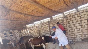   بيطري الغربية: تحصين 73 ألف رأس ماشية ضد الأمراض الوبائية