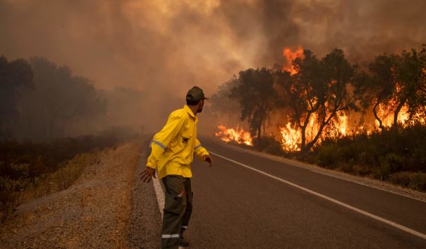 ارتفاع حصيلة ضحايا حرائق الغابات في تشيلي إلى 22 قتيلا
