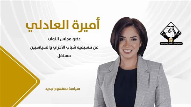 برلمانية: تنسيقية شباب الأحزاب تطلق رؤية جديدة لتكون محاولة للفهم