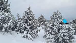   تأثير العاصفة "فرح" يشتد على لبنان بأمطار غزيرة وعواصف رعدية وثلوج ورياح شديدة