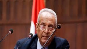 وكيل أول مجلس الشيوخ: العنف الأسري باتت أمرا مقلقا في المجتمع