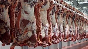 متحدث الزراعة: 160 جنيها سعر كيلو اللحوم في منافذ الوزارة 