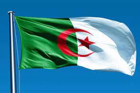   الجزائر تعرب عن تضامنها مع تشيلي إثر سقوط ضحايا جراء حرائق الغابات