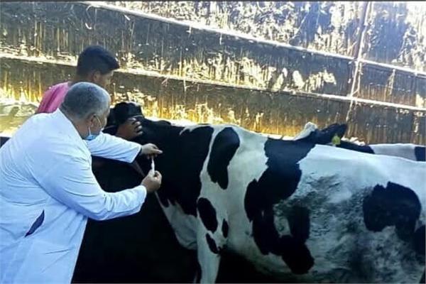 وزير الزراعة: انطلاق الحملة القومية للتحصين ضد الحمى القلاعية والوادي المتصدع السبت المقبل