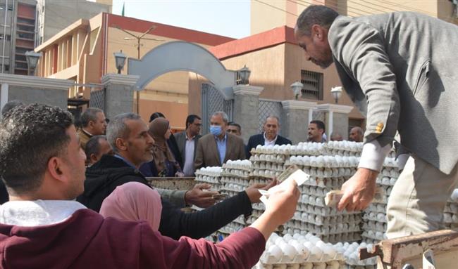 الكرتونة بـ 95 جنيها.. "القليوبية" تعلن توفير سيارات لبيع بيض المائدة للمواطنين