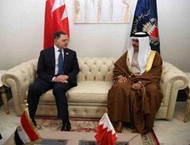 وزير الداخلية يعقد لقاءات ثنائية مع نظرائه العرب