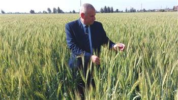   وكيل وزارة الزراعة بالبحيرة يتابع زراعات القمح بمركز أبو حمص