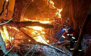   إخماد حريق بعد 21 ساعة من اندلاعه بحديقة وطنية في كوريا الجنوبية