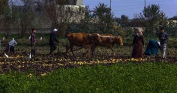   الاستثمارات الزراعية جذابة فى شمال أفريقيا والشرق الأوسط