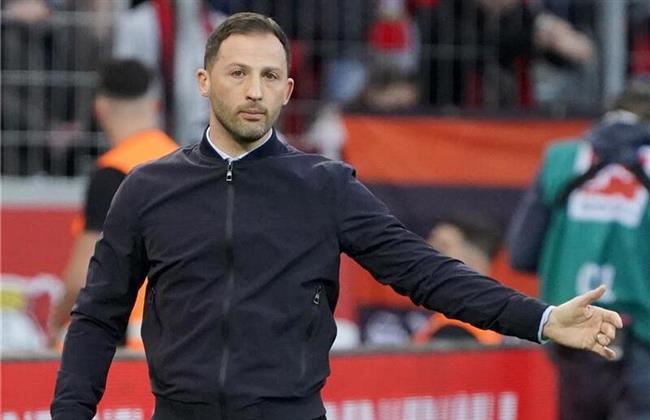 مدرب بلجيكا الجديد: المال شيء لا يجذبني
