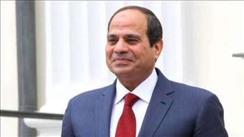 الرئيس السيسي: رئيسة وزراء الدنمارك تفهمت رؤية مصر في ملف حقوق الإنسان