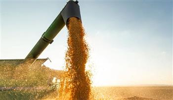   روسيا: اتفاق تصدير الحبوب سيمدد تلقائيًا ما لم يوجد اعتراض