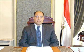 مصر تأسف لدعم مجلس الأمن لمبادرات تقوض دور المؤسسات الليبية الشرعية