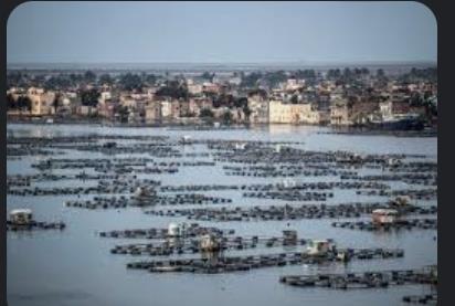 خطر يحدق بـ60 مليون شخص في مصر