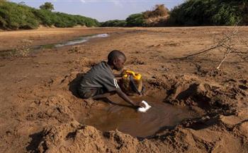   «يونيسيف»: 10 ملايين طفل بالساحل الأوسط الإفريقي يواجهون خطرًا شديدًا من انعدام الأمن الغذائي