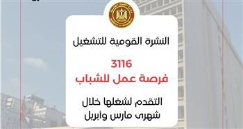 «القوى العاملة»: 41 شركة خاصة تعلن عن 3116 فرصة عمل في 11 محافظة