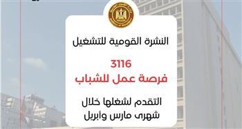 «القوى العاملة»: 41 شركة خاصة تعلن عن 3116 فرصة عمل في 11 محافظة