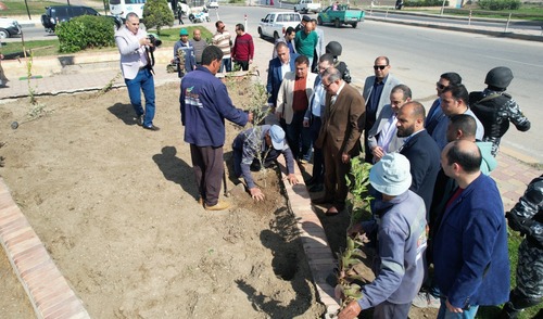زراعة 40 ألف شجرة بمدن وقرى كفر الشيخ ضمن «100 مليون شجرة»
