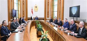 السيسى يبحث مع وفد روسى تطورات إنشاء محطة الضبعة النووية