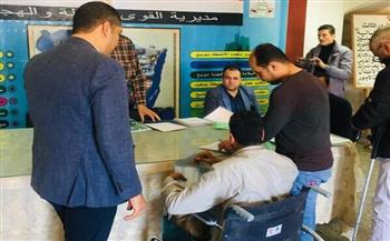   «القوى العاملة»: تسليم وتوقيع عقود عمل لذوى همم بمديرية جنوب سيناء