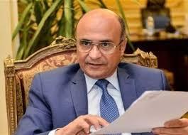 وزير العدل: الدولة المصرية في مستوى عالٍ جدا من التقدم والمساواة وعدم التمييز 