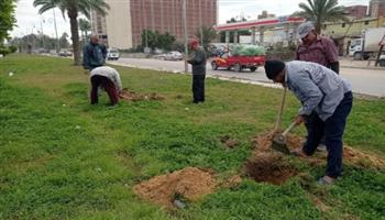   محافظ الإسكندرية: زراعة 52688 شجرة منذ انطلاق المبادرة الرئاسية "زراعة ١٠٠ مليون شجرة"