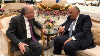   وزير الخارجية ونظيره البرازيلي يؤكدان أهمية تنشيط اتفاقية التجارة الحرة بين مصر والميركسور 