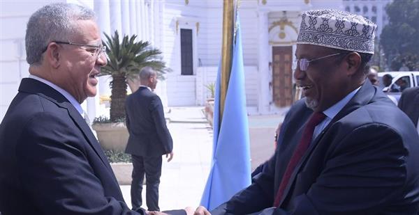 جبالي يستقبل رئيس مجلس الشعب الصومالي