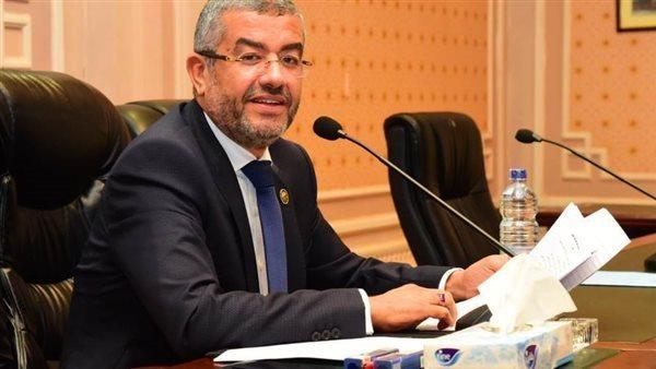 النائب عماد سعد: الرئيس السيسي أعلن عن مجموعة من أكبر إجراءات الحماية الاجتماعية