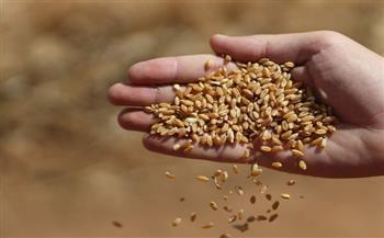 منجي بدر: شراء القمح من روسيا بـ «الروبل» سيوفر 12 مليار دولار
