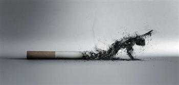   ندوة بمركز التخطيط الاجتماعي تناقش مكافحة التدخين