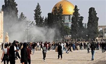   عشرات المستوطنين الإسرائيليين يقتحمون المسجد الأقصى بحماية شرطة الاحتلال