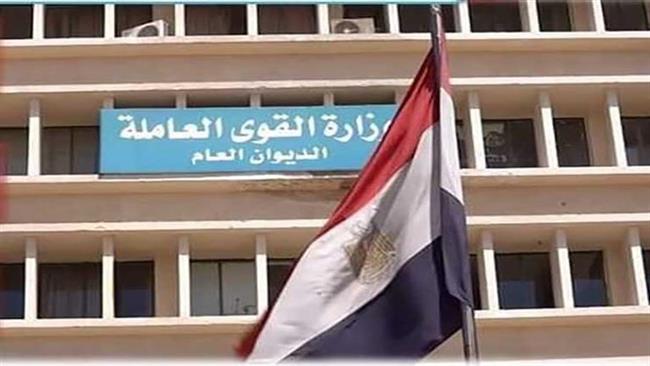 "القوى العاملة": فرص عمل في القليوبية.. ومنها لذوي همم 