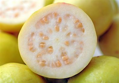 7 فوائد مهمة عن الجوافة.. تعرفى عليها