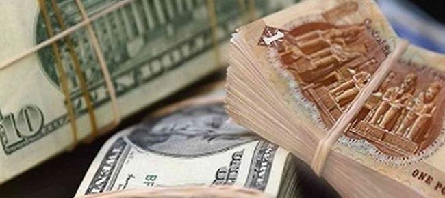 استقرار أسعار صرف الدولار مقابل الجنيه المصري في ختام تعاملاته الأسبوعية