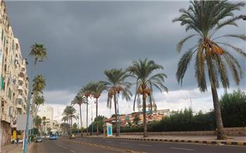   أمطار خفيفة على الإسكندرية مع بدء نوة «عوة»