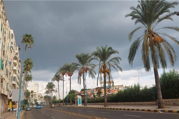 أمطار خفيفة على الإسكندرية مع بدء نوة «عوة»
