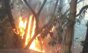   ارتفاع حصيلة ضحايا حريق مستودع وقود بإندونيسيا إلى 33 شخصا