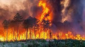   حرائق هائلة تلتهم الغابات في إسبانيا والسلطات تحذر المواطنين 
