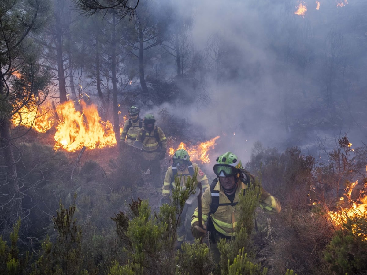 شاهد.. رجال الإطفاء ينجحون فى السيطرة على حريق غابات كبير في إسبانيا