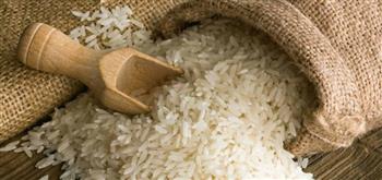   " التموين" تنفى عجز فى الكميات المعروضة من الأرز بالأسواق والمنافذ التموينية