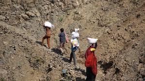  البنك الدولي يمنح اليمن 207 ملايين دولار لمواجهة انعدام الأمن الغذائي