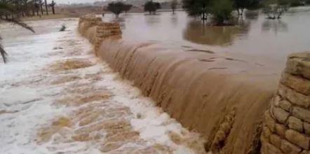 الحكومة: لا صحة لإهدار المليارات على إنشاء حواجز الحماية من أخطار السيول
